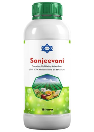SANJEEVANI