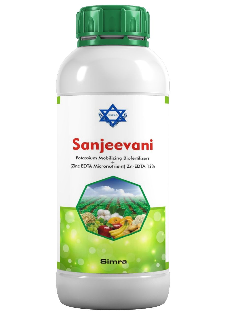 SANJEEVANI