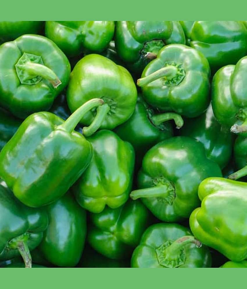Jignisha Seeds Hybrid Green Chilli Vegetable ( 50 Seeds )