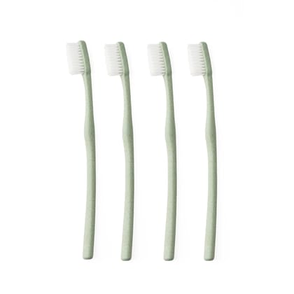 Rice Husk Tooth Brushes-MINT GREEN / OF 4