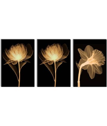 Saf - Art Prints With Frame