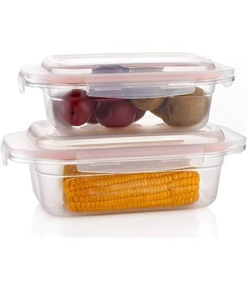 OFFYX LOCK&LOCK CONTAINER PET White Multi-Purpose Container ( Set of 2 )
