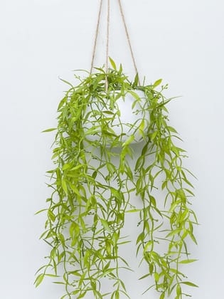 Artificial Greenery Hanging Plant With White Pot -For Home Décor