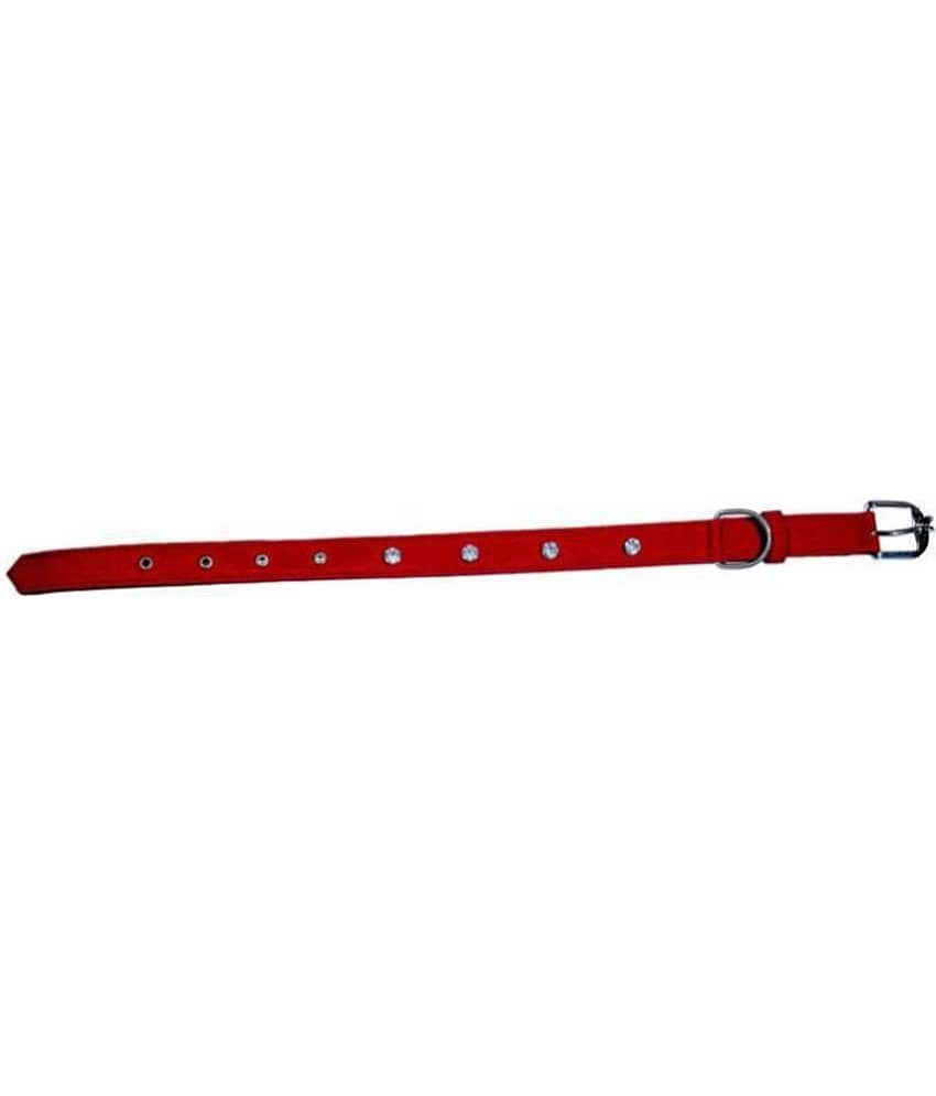 Tame Love - Red Dog Collar (Small)