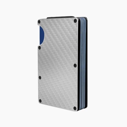 The Wallet Store Clip & Carry Metal Card Holder (Silver)