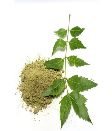 MYGODGIFT  Neem Patta Powder - Azadirachta Indica - Neem Leaves  200 gm