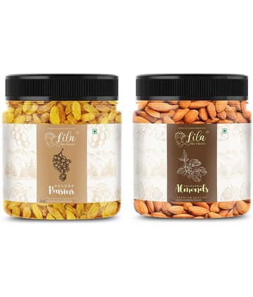 LILA DRY FRUITS Almond (100gm) & Green Raisin(100gm) Combo Badam Kishmish Combo Premium Healthy Snack Dry Fruits Rich Perfect for Giftings
