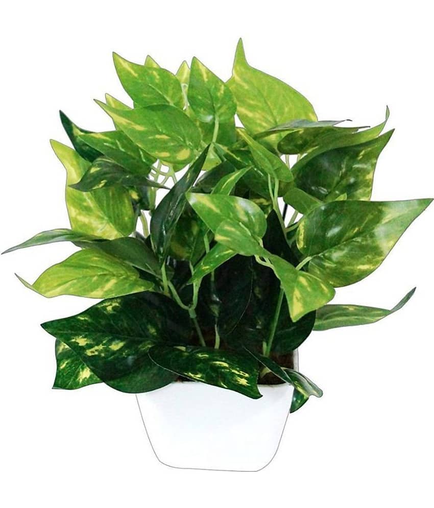 Green plant indoor Artificial Money Plants Multicolour Bonsai Plastic - Pack of 1