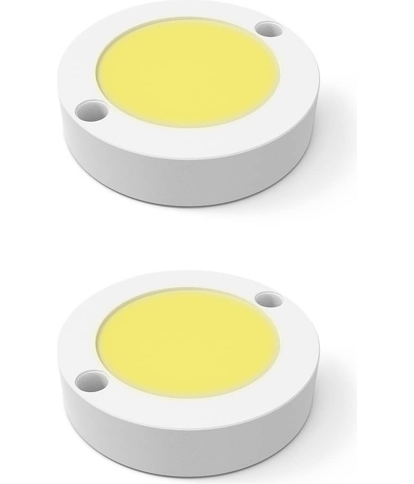 ZESTRUM Ceiling Light - Pack of 2