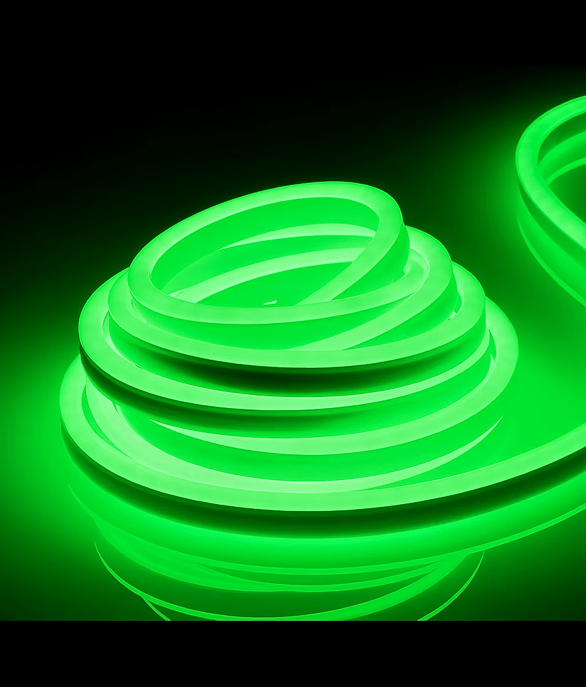 ZESTRUM Green 5M Neon Light ( Pack of 1 )