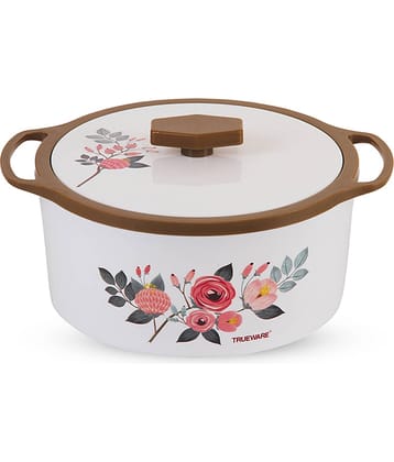 Trueware Florra 1000 ML Inner Steel Brown Plastic Thermoware Casserole ( Set of 1 , 1000 mL )
