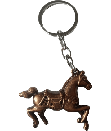 Cailyn - Multi Color Key Chain ( Pack of 1 )