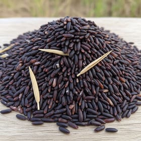 Maricha rice