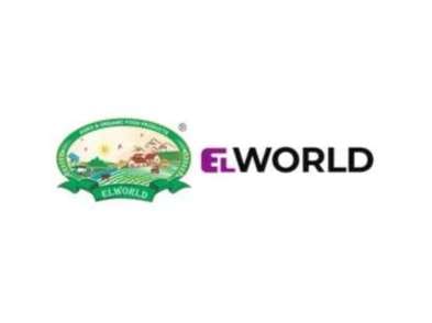 Elworld Agro & Organic Food Products Turmeric Powder 1Kg