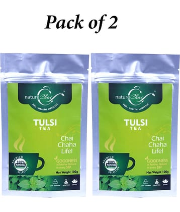 nature Chai Green Tea Loose Leaf 100 gm Pack of 2