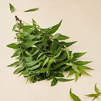Neem Leaves Neem Leaves