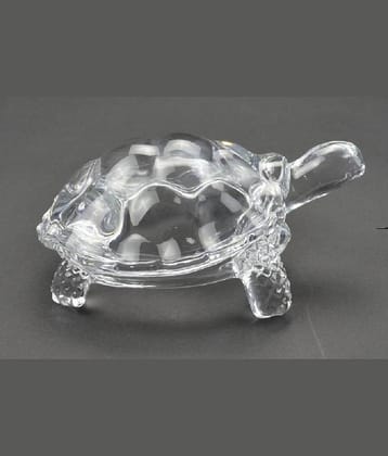 Astrodidi Glass Tortoise Kachua For Vastu