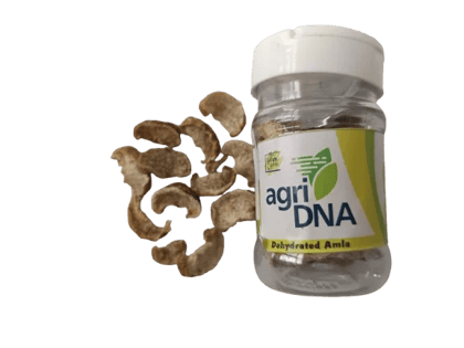 Amla Immunity Cubes 2 Pack Amla Immunity Cubes 2 Pack