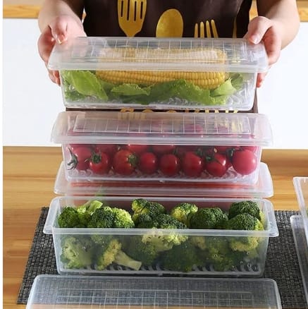 Vegetables & Fruits Freezer Storage Container (PACK OF 6PC 1500ML)