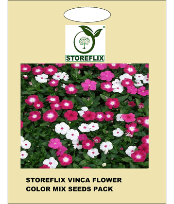 vinca flower 50 seeds pack with free cocopeat and user manual