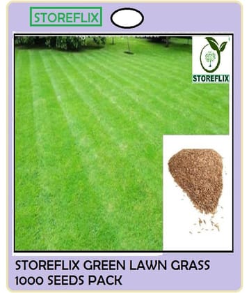 STOREFLIX - Bermuda Green Grass ( 1000 Seeds )