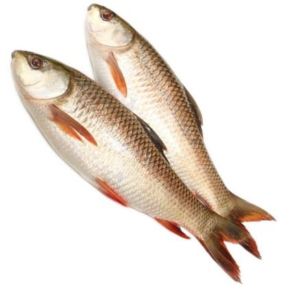 Rohu - 0.7 kg