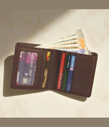 Wingers PU Leather Card Holder ( Pack 1 )