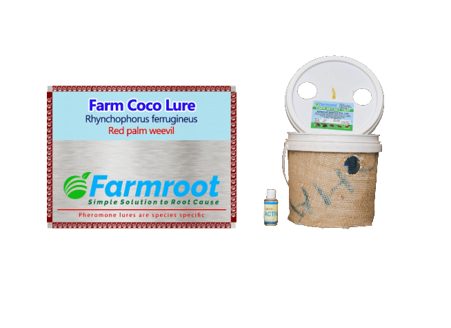 FARM RED PALM WEEVIL(COCO LURE) WITH BUCKET TRAP (PACK OF 20)