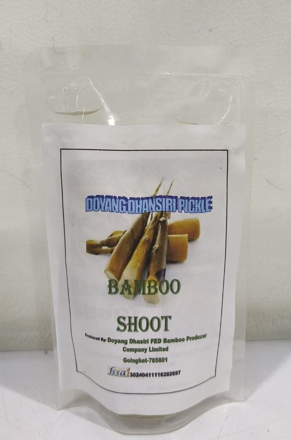 Bamboo shoot Pickle - 100 gm - 100 gm - 1 Pack