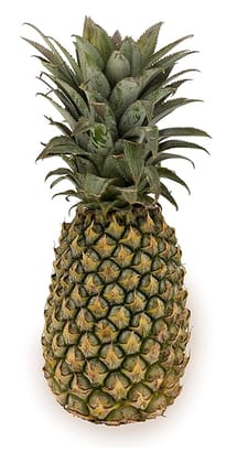 Pineapple  1 PIC