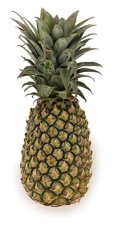 Pineapple  1 PIC