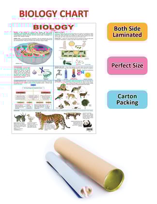 Biology [Wall Chart] Dreamland Publications
