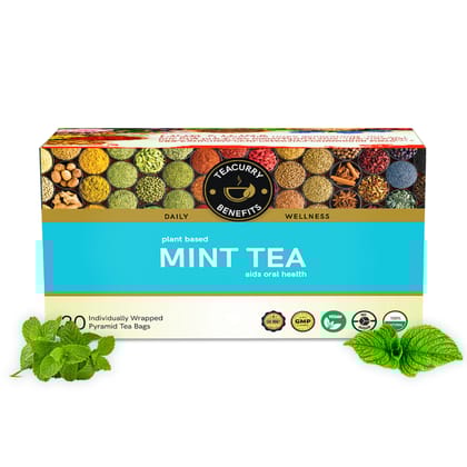 TEACURRY Mint Leaves Tea (1 Month Pack, 30 Tea Bags) - Helps in Digestion, Bad Breath, PMS