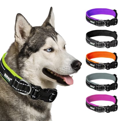 Premium Reflective Padded Dog Collar-Green