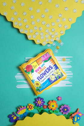 Rub And Smell - Flowers? (fragrance Book For Kids) [Bath Book] Dreamland Publications