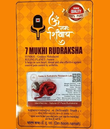 DvR ClicK 7 Mukhi Rudraksha Bead ( Pack of 1 )