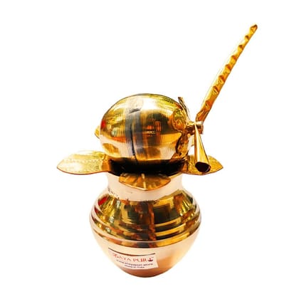 MAYAPURI Pure Brass Kalash with Coconut and Mango Leaf for Daily Pooja, Original Pital Kalash, Daab and Aam Patta Leave, Size; Small (Combo Pack)