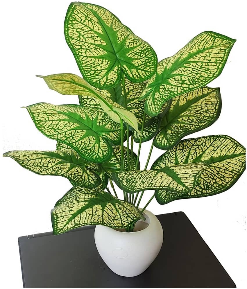 BAARIG - Off White Evergreen Artificial Plants Bunch ( Pack of 1 )