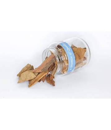 MYGODGIFT Vijaysar Chaal,Indian Kino, Pterocarpus Marsupium Bark Seed 100 gm