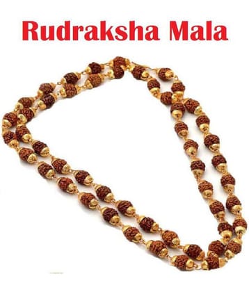 rudradivine Gold Plated Chain ( Set of 1 )