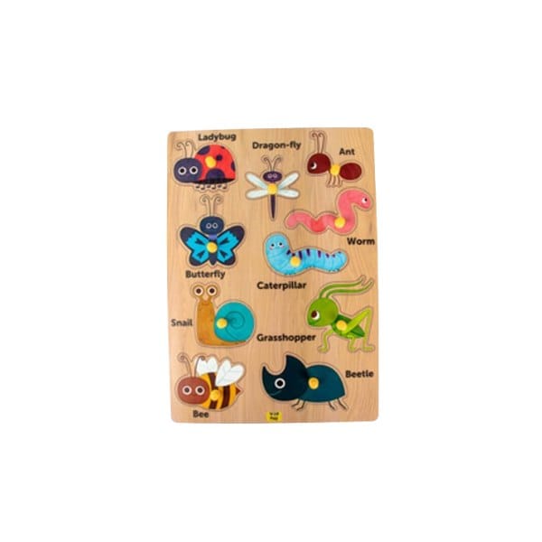 Wooden Pin Puzzle Insect