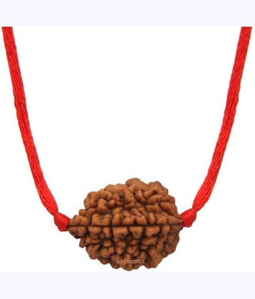 Astrodidi 2 Mukhi Rudraksha With Lab Certificate