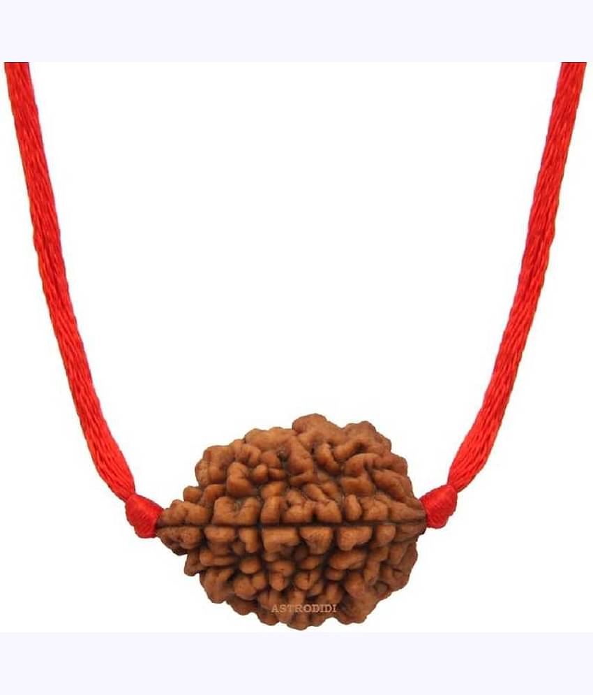 Astrodidi 2 Mukhi Rudraksha With Lab Certificate