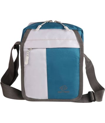 Nice Purse Sea Green Colorblocked Messenger Bag