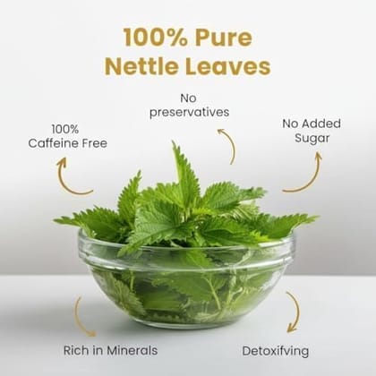 Grivva Organic Nettle Leaf Tea, Naturally Caffeine Free, 100% Pure, Supports Detox & Cleansing, Rich in Minerals