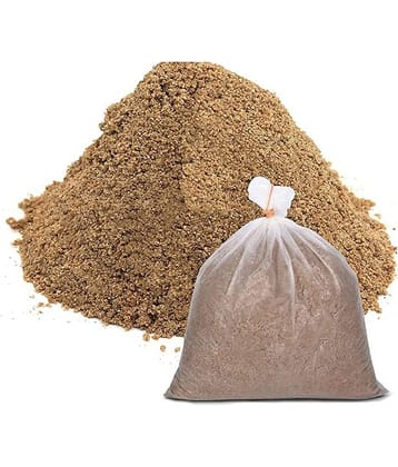 Green plant indoor - Natural Stones