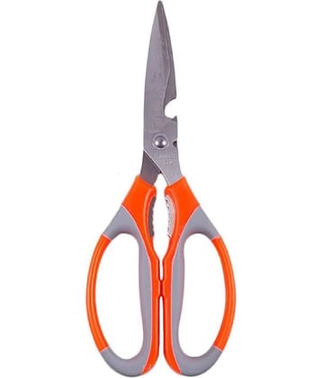 Cailyn - Stainless Steel Vegetable Scissors ( Pack of 1 )