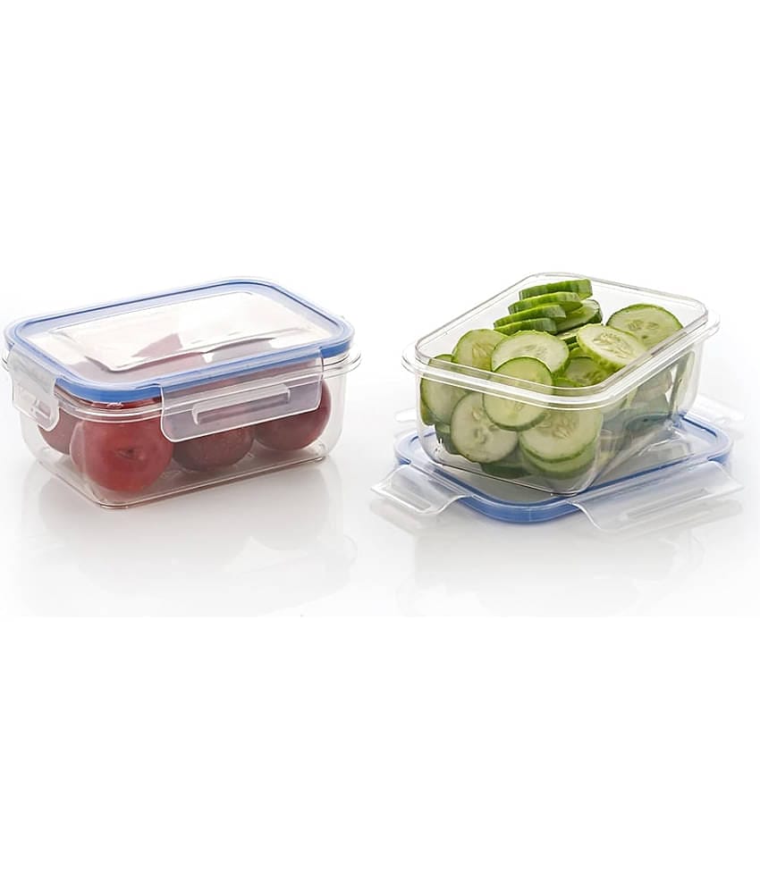 iview kitchenware Plastic Multi-Purpose Food Container, 500ml (2U)