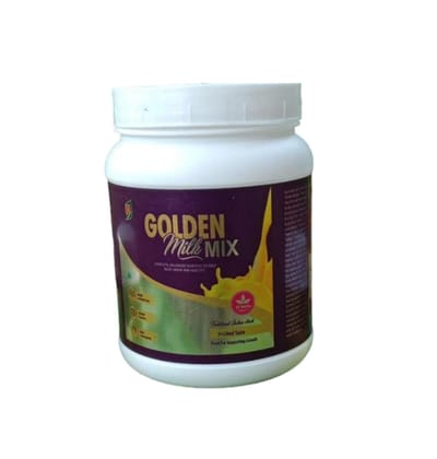 Hillarious Ayurveda Golden Milk Mix Powder, 400 gm