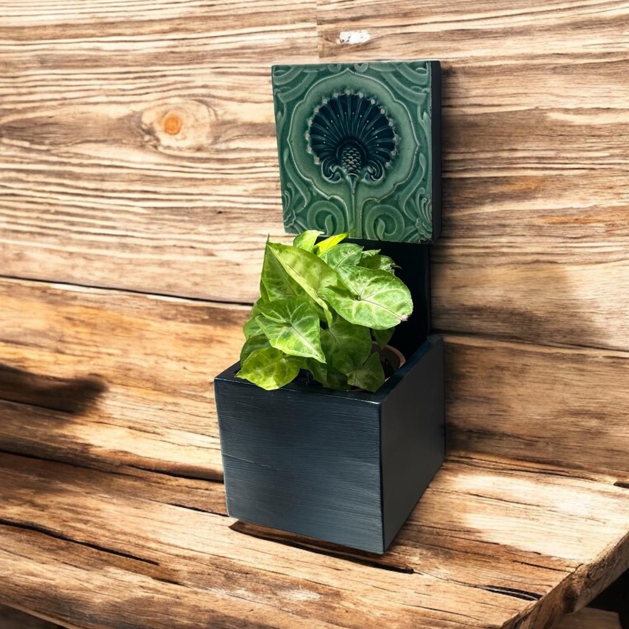 Wooden planter : Baxa  11